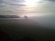 Perfect Day at the Roaches - Tree in the Mist