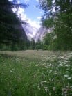 Ailefroide - Alpine meadow on way to slabs