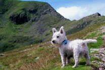 Leo on his way to Helvellyn