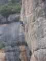 peter on 7a+