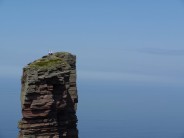 The old man of hoy