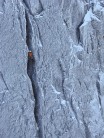 Kev Avery leading the crux pitch of Darth Vader, Ben Nevis