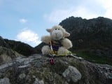 Mark the invincible lamb topping out on the arete