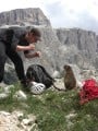 A close encounter with a Marmot after bailing from the Big Micheluzzi.....Caption Comp?