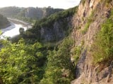 Making the novel step-out-of-the-tree first move of Petros at Avon Gorge Main Area