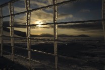 Windblown ice on the fence at sunset, descent of Y Garn, Sun 28th Dec 2014