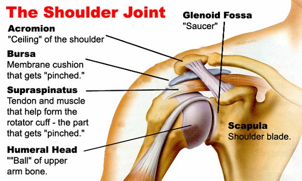 Ukc Articles Climbing Shoulder Injuries Exercises And Tips