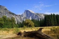the famous Half Dome