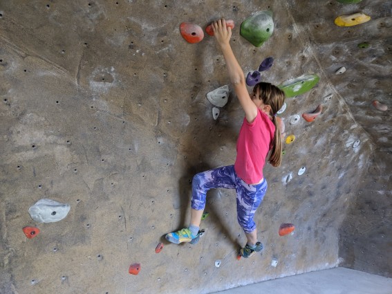 Kids Rock Wall Climbing Hand Holds  New UK 