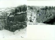 Dale Quarry in the 90's