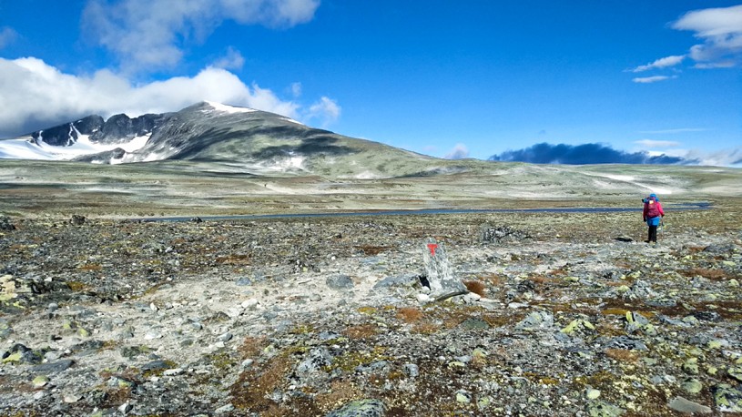 Hiking Dovrefjell high plateau, with Snøhetta mountain as backdrop  © Ute Koninx
