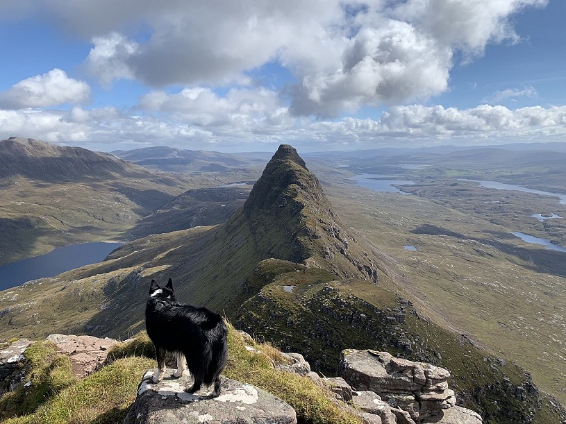 Views - they don't get better than Suilven's!  © Anne Butler