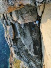 The not so thin, final pitch of Thin Wall Special, Bosigran.