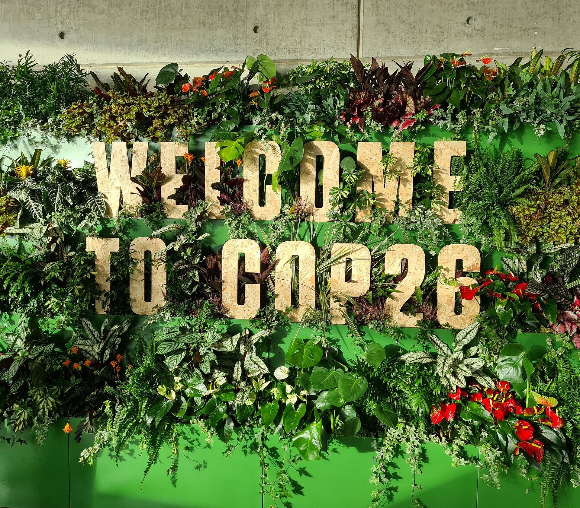 Welcome sign at the Green Zone.  © Natalie Berry