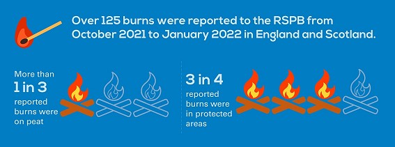 Burn reports infographic  © RSPB Scotland