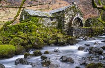 The Old Watermill, Combe Gill