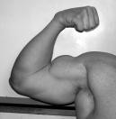 bentley's biceps