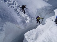 Bergshund jumping on Mt Blanc du Tacul