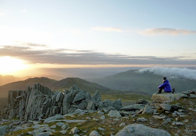 Montane heath and hillwalkers both tend to prefer the tops of mountains  © Sarah Ryan