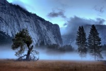 Royal Arches & Morning Mist, Yosemite Valley