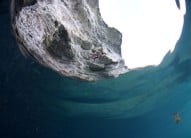 Bermuda DWS shot through Snell's Window from underwater.