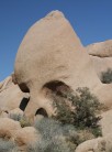 Skull Rock.Joshua Tree National Park CA: It's Homer!
